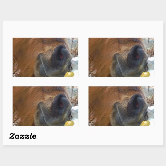 PaasBunny en bruin paard Rechthoekige Sticker (Vel)