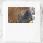 PaasBunny en bruin paard Rechthoekige Sticker (Tas)