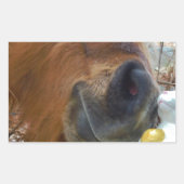 PaasBunny en bruin paard Rechthoekige Sticker (Voorkant)