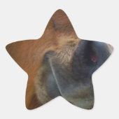 PaasBunny en bruin paard Ster Sticker (Voorkant)