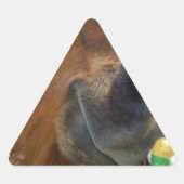 PaasBunny en bruin paard Sticker (Voorkant)