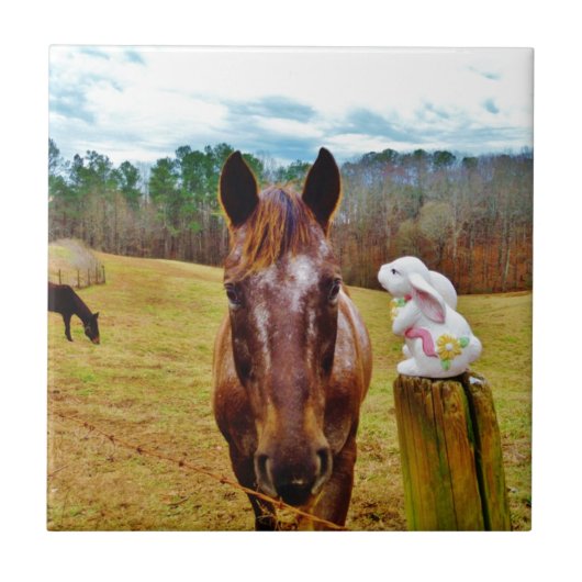 PaasBunny en bruin paard Tegeltje (Voorkant)