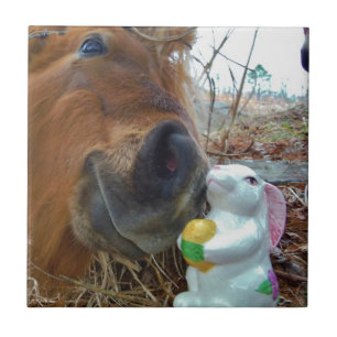 PaasBunny en bruin paard Tegeltje