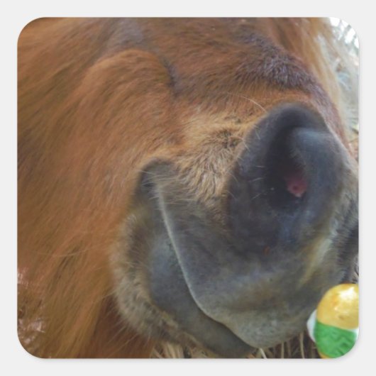 PaasBunny en bruin paard Vierkante Sticker (Voorkant)