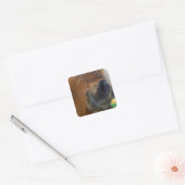 PaasBunny en bruin paard Vierkante Sticker (Envelop)
