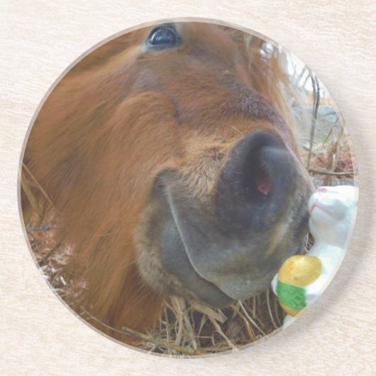 PaasBunny en bruin paard Zandsteen Onderzetter (Voorkant)