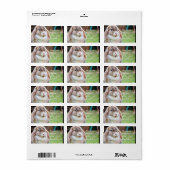 Paasbunny Etiket (Full Sheet)