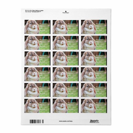 Paasbunny Etiket (Full Sheet)