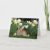 Paasbunny Feestdagen Kaart (Voorkant)
