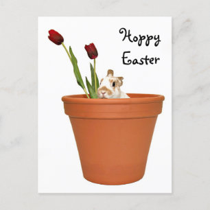 Paasbunny Feestdagenkaart