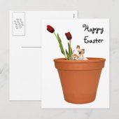 Paasbunny Feestdagenkaart (Voorkant / Achterkant)