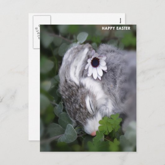 Paasbunny Feestdagenkaart (Voorkant / Achterkant)