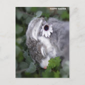 Paasbunny Feestdagenkaart (Voorkant)