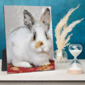 Paasbunny Fotoplaat (Zijkant)