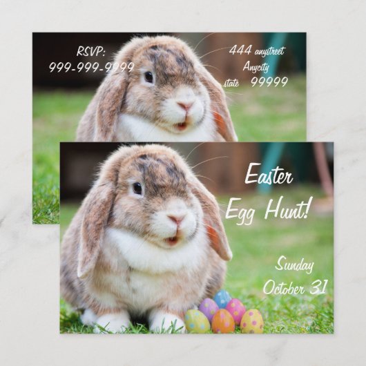 Paasbunny Kaart (Voorkant / Achterkant)