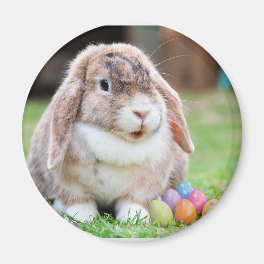 Paasbunny Magneet (Voorkant)