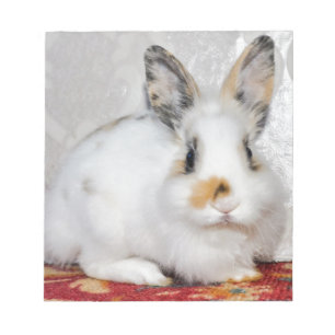 Paasbunny Notitieblok