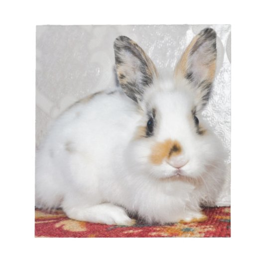 Paasbunny Notitieblok (Voorkant)