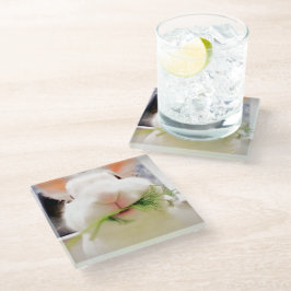 PaasBunny-Onderzetters Glazen Onderzetter