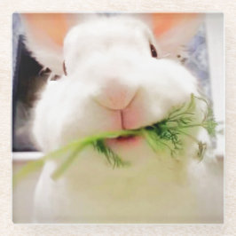 PaasBunny-Onderzetters Glazen Onderzetter