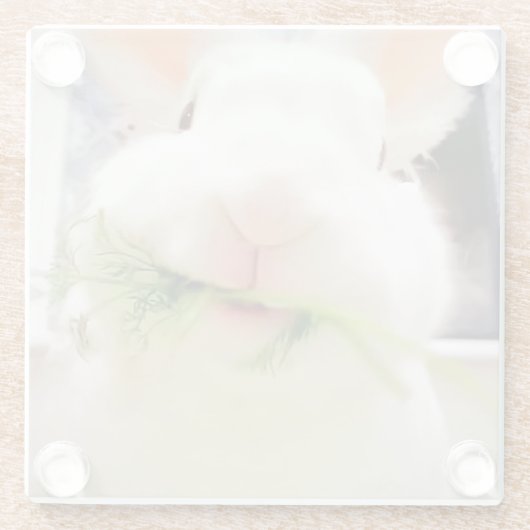 PaasBunny-Onderzetters Glazen Onderzetter (Achterkant)