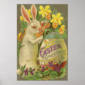 Paasbunny Painting Egg Daffodil Crocus Poster (Voorkant)