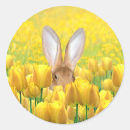 Paasbunny Ronde Sticker