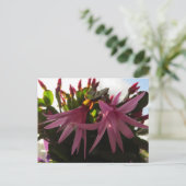 Paascactus Flower Plant Feestdagenkaart (Staand voorkant)