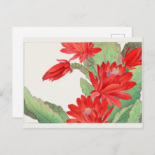 Paascactus van Tanigami Konan Briefkaart (Voorkant / Achterkant)