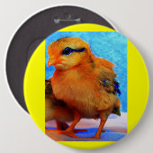 Paaschick-A-Dee Light Ronde Button 6,0 Cm (Voorkant /achterkant)