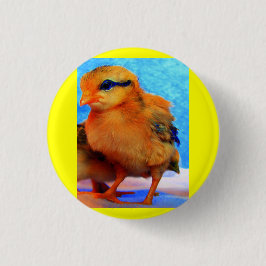 Paaschick-A-Dee Light Ronde Button 6,0 Cm