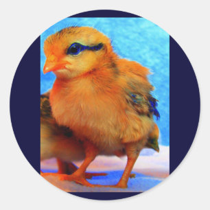 Paaschick-A-Dee Light Ronde Sticker