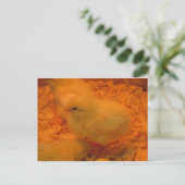 Paaschick Feestdagenkaart (Staand voorkant)