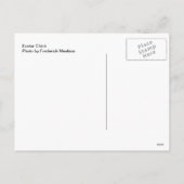 Paaschick Feestdagenkaart (Achterkant)