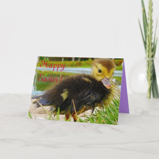 Paaschick III Feestdagen Kaart (Voorkant)