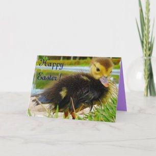 Paaschick III Feestdagen Kaart