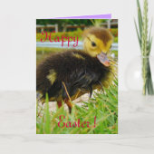 Paaschick III Feestdagen Kaart (Voorkant)