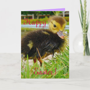 Paaschick III Feestdagen Kaart