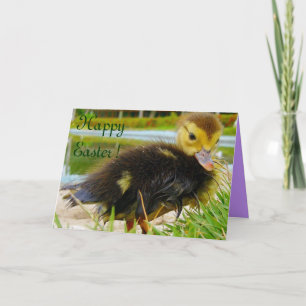 Paaschick III Feestdagen Kaart