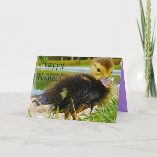 Paaschick III Feestdagen Kaart (Voorkant)