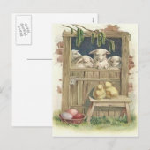 Paaschick Lamb Barn gekleurde gekleurde eieren Feestdagenkaart (Voorkant / Achterkant)