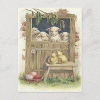 Paaschick Lamb Barn gekleurde gekleurde eieren
