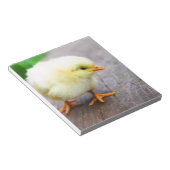 Paaschick Notitieblok (Schuin)