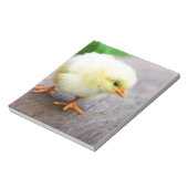 Paaschick Notitieblok (Linkerzijde)