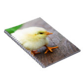 Paaschick Notitieboek (Rechterzijde)