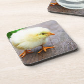 Paaschick Onderzetter (Linkerzijde)