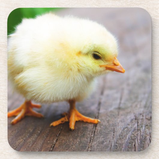 Paaschick Onderzetter (Voorkant)