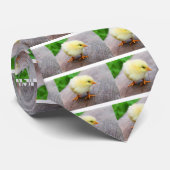 Paaschick Stropdas (Opgerold)
