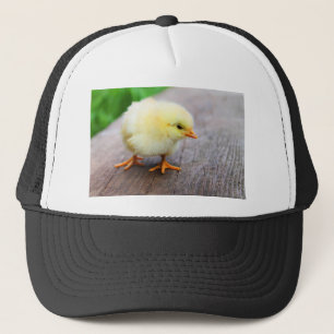 Paaschick Trucker Pet