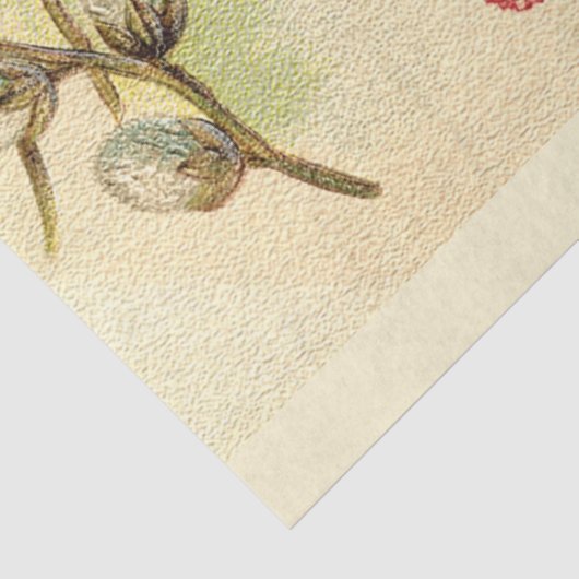 Paasdag Tissuepapier (Detail)